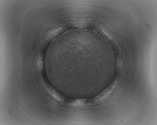 X0000112110080200908041550