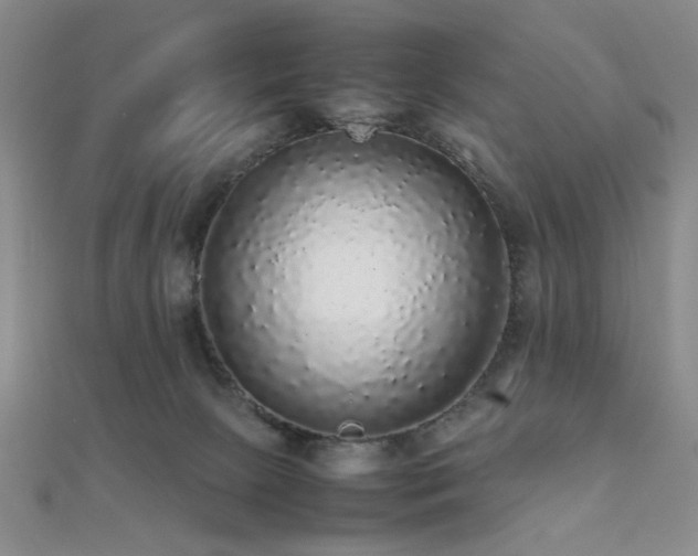 X0000112110081200908041550