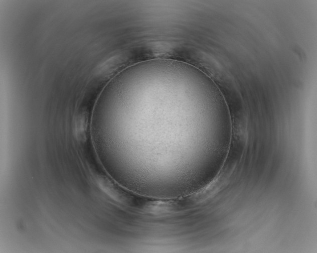 X0000112110082200908041550