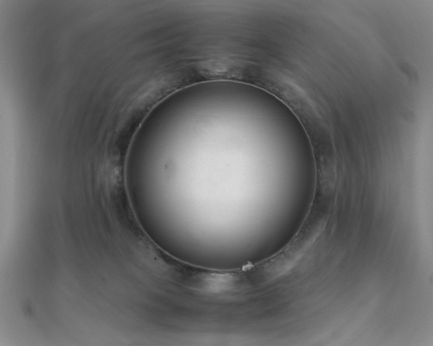 X0000112110085200908041550