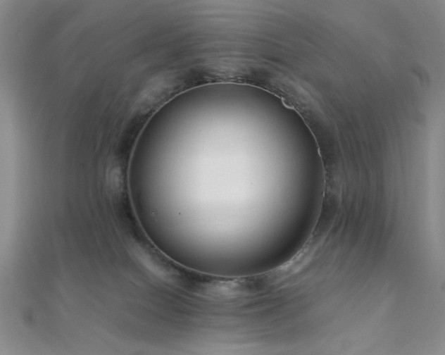 X0000112110086200908041550