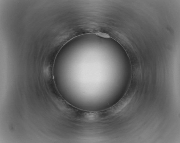 X0000112110088200908041550