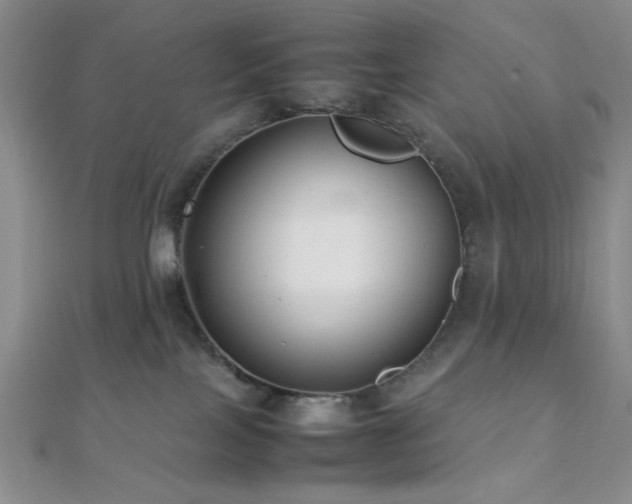 X0000112110089200908041550