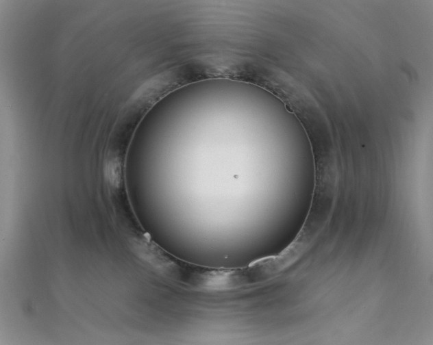 X0000112110090200908041550