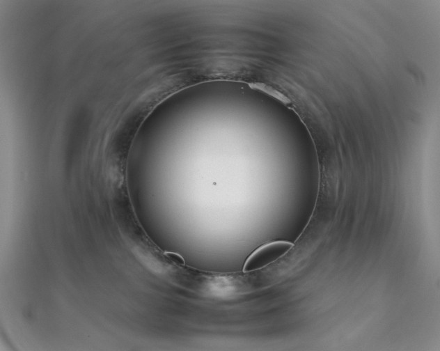 X0000112110091200908041550