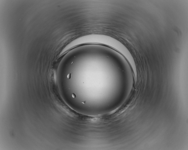 X0000112110092200908041550