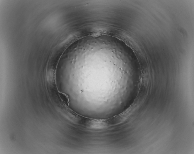 X0000112110093200908041550