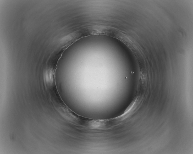 X0000112110094200908041550