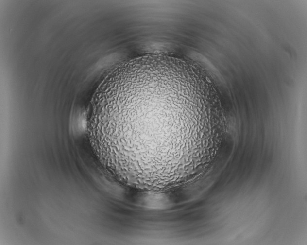 X0000112110095200908041550