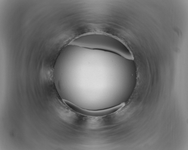 X0000112110096200908041550