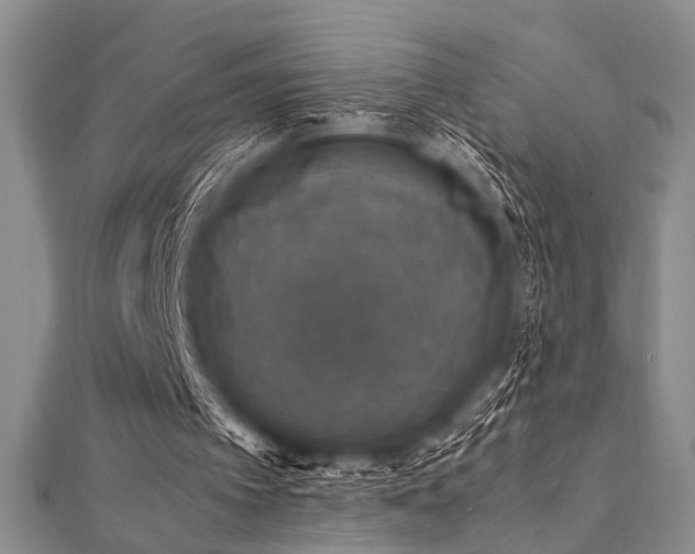 X0000112110097200908041549