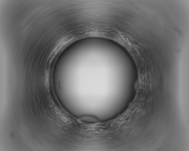 X0000112110098200908041549