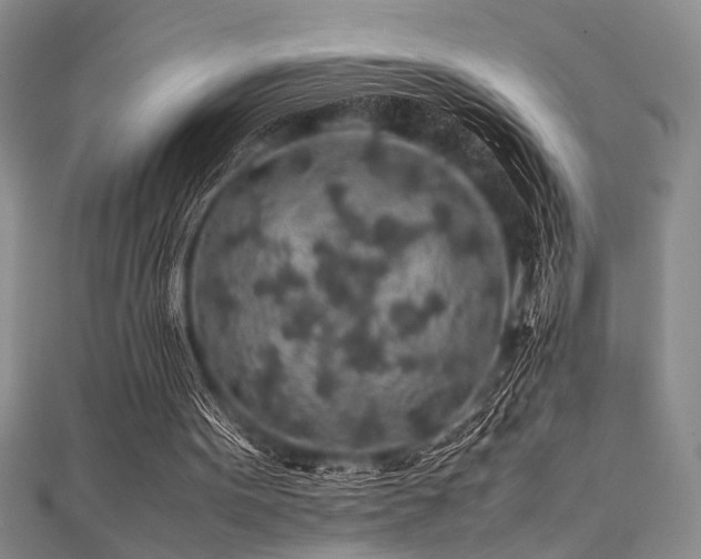 X0000112110099200908041549