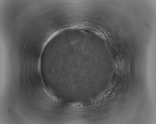 X0000112110100200908041549