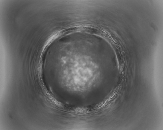 X0000112110101200908041549