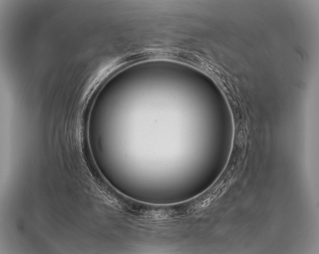 X0000112110103200908041549