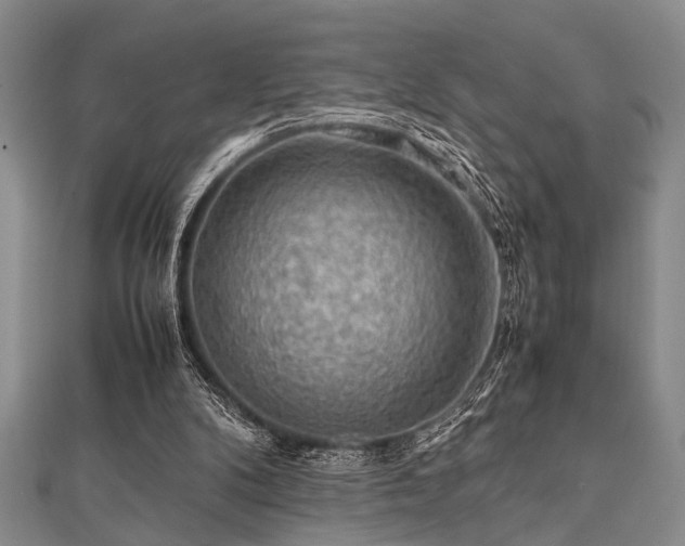 X0000112110104200908041549