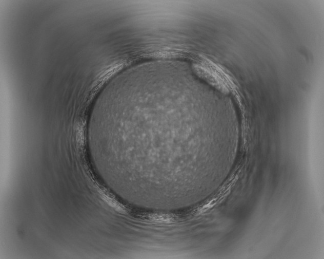 X0000112110105200908041549