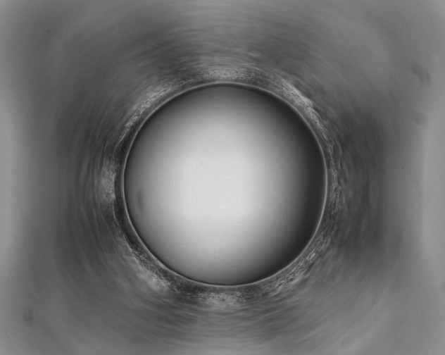 X0000112110106200908041549