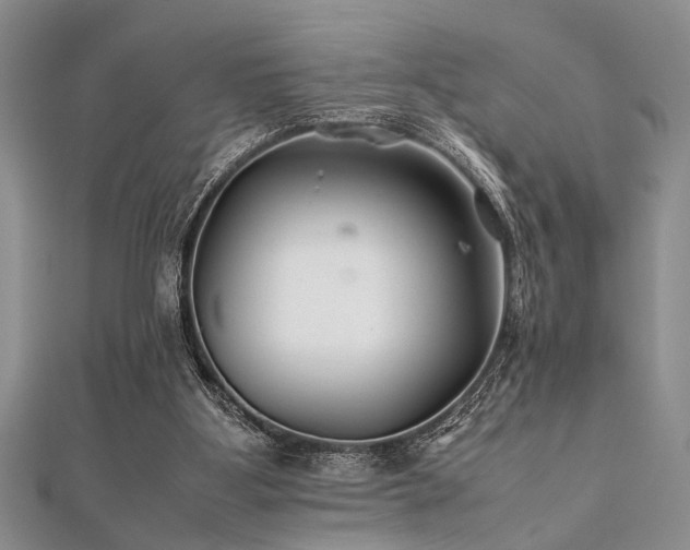 X0000112110107200908041549