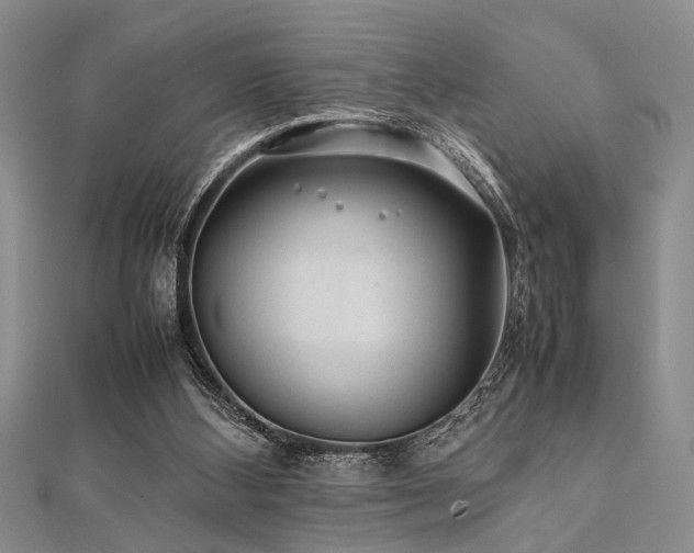 X0000112110108200908041549