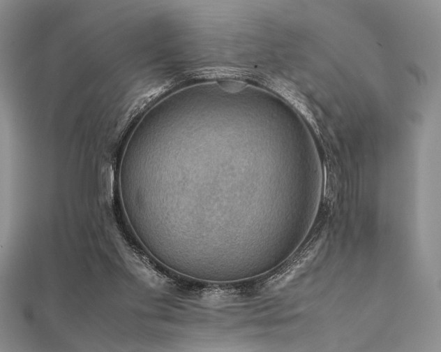 X0000112110109200908041549