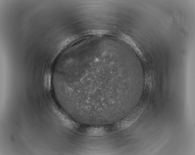 X0000112110110200908041549