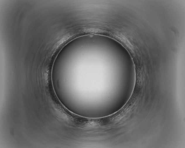 X0000112110111200908041549