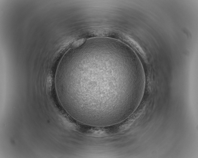 X0000112110113200908041549