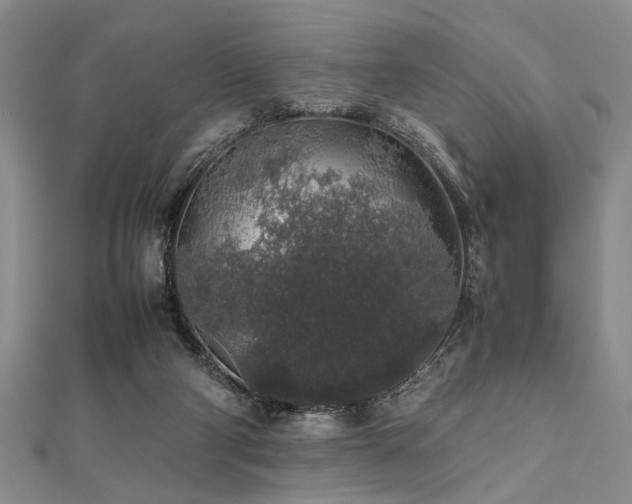 X0000112110114200908041549