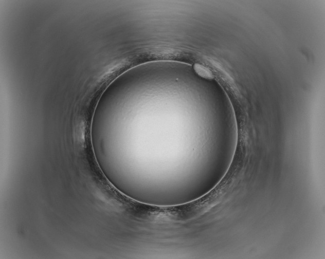 X0000112110115200908041549