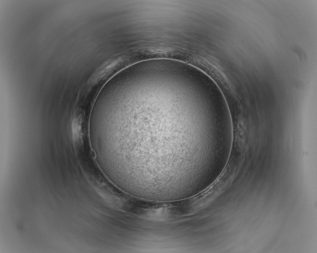 X0000112110116200908041549