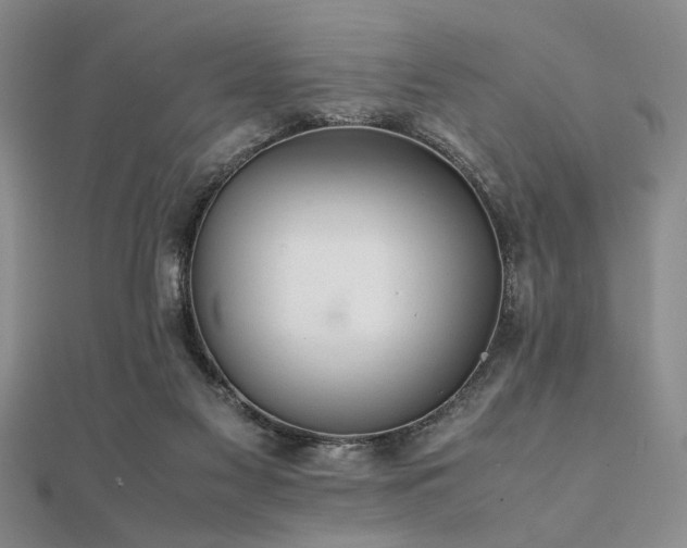 X0000112110117200908041549