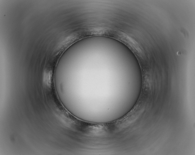 X0000112110118200908041549