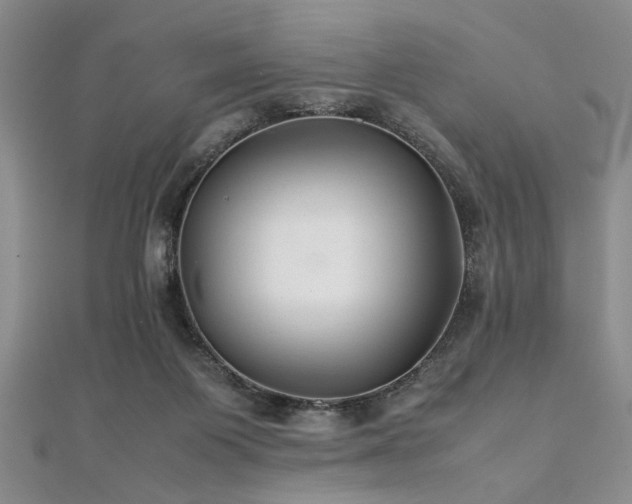 X0000112110119200908041549