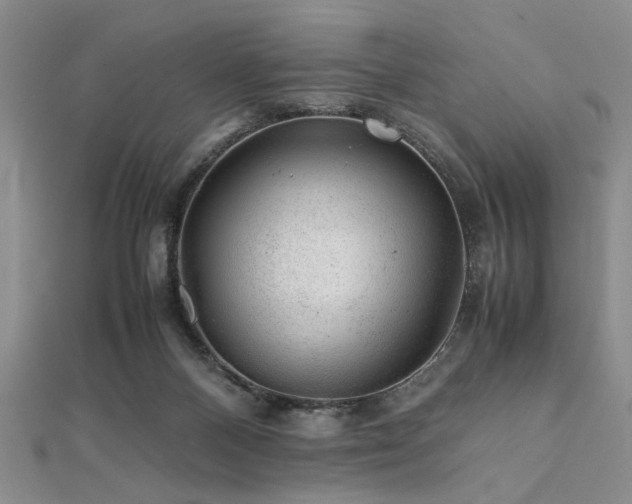 X0000112110120200908041549