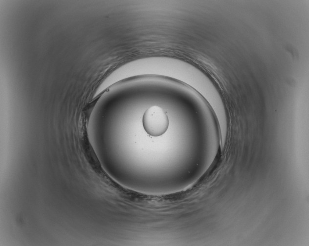 X0000112110121200908041549