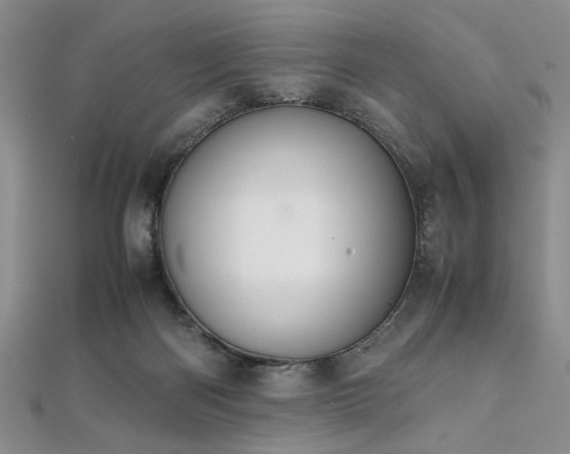 X0000112110122200908041549