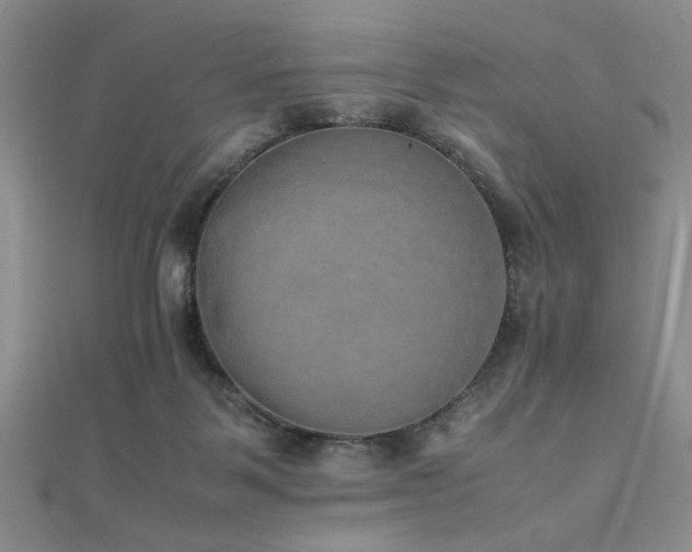 X0000112110123200908041549