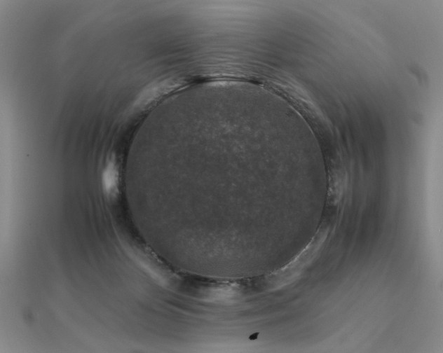 X0000112110124200908041549