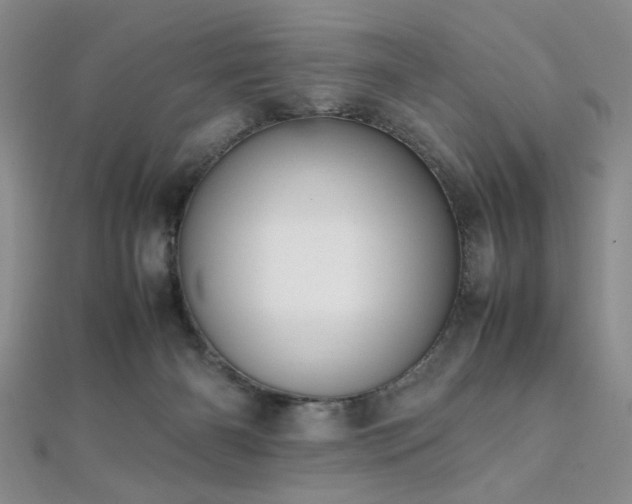 X0000112110126200908041549