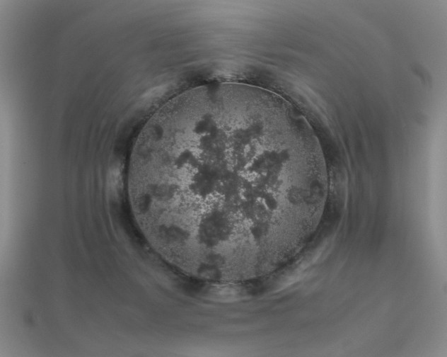 X0000112110127200908041549