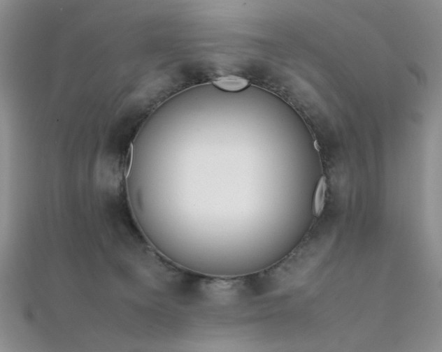 X0000112110129200908041549