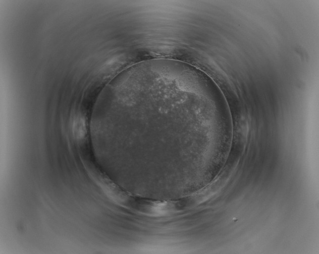 X0000112110130200908041549