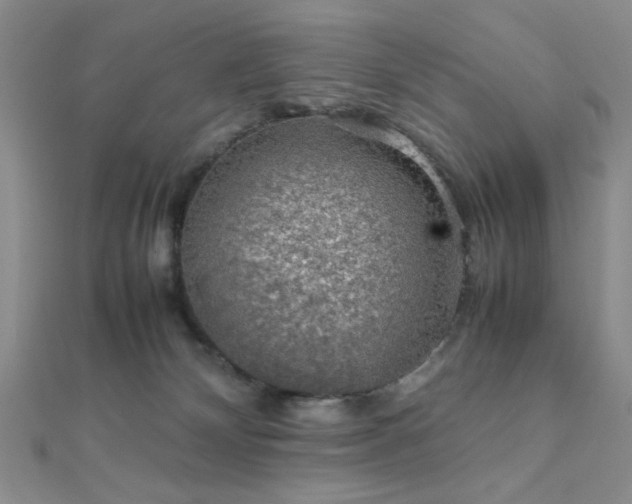 X0000112110132200908041549