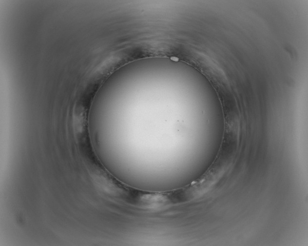 X0000112110133200908041549