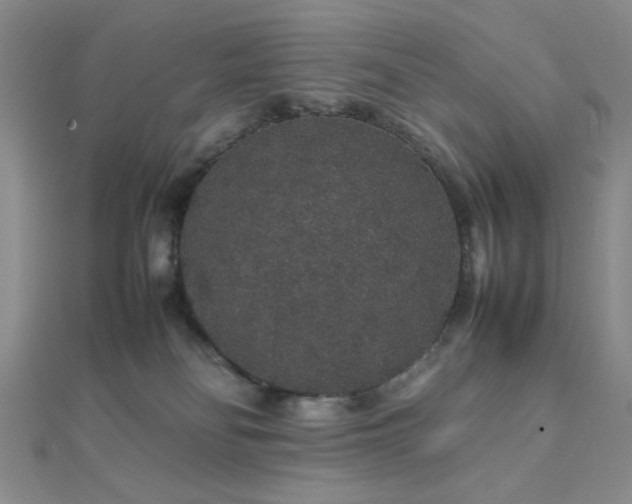 X0000112110134200908041549