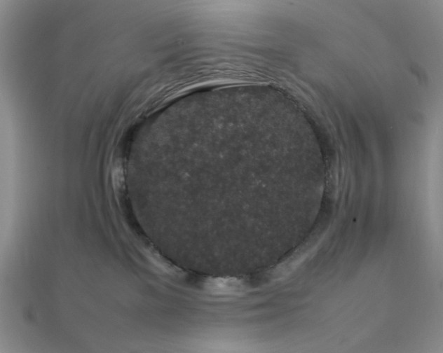 X0000112110137200908041549