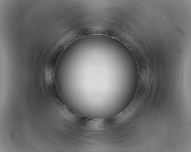 X0000112110138200908041549