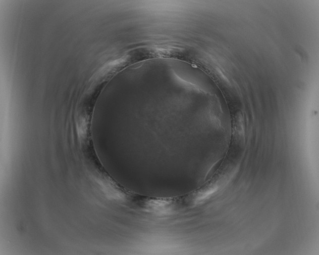 X0000112110139200908041549